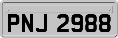 PNJ2988
