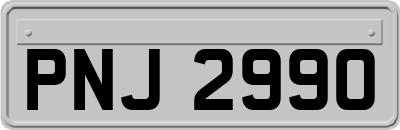 PNJ2990