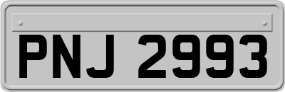 PNJ2993