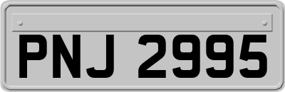 PNJ2995