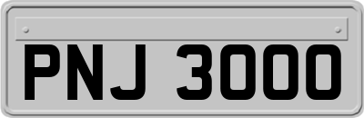 PNJ3000