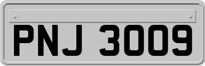 PNJ3009