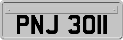 PNJ3011