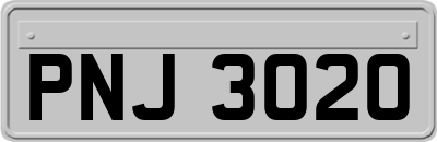 PNJ3020
