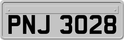 PNJ3028