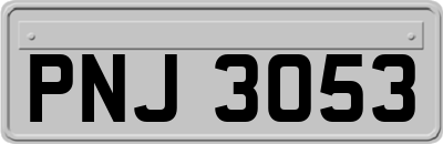PNJ3053