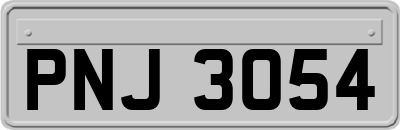 PNJ3054