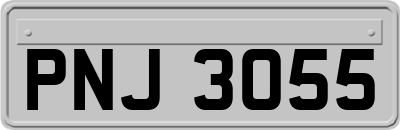 PNJ3055