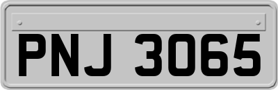 PNJ3065