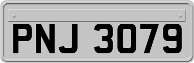 PNJ3079