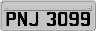 PNJ3099