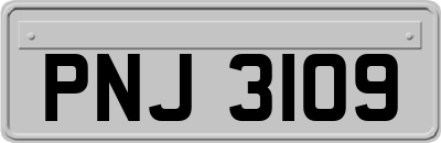 PNJ3109