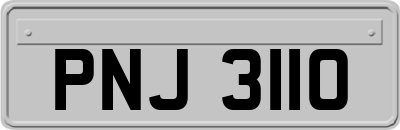 PNJ3110