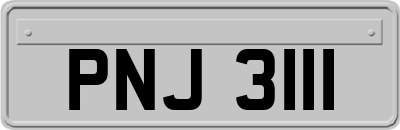 PNJ3111