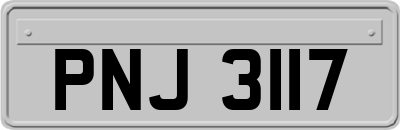 PNJ3117
