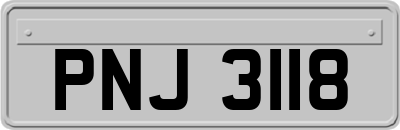 PNJ3118