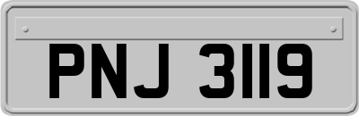 PNJ3119
