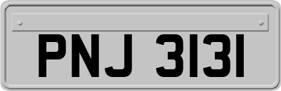 PNJ3131