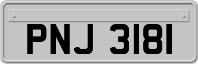 PNJ3181