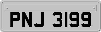PNJ3199