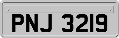 PNJ3219