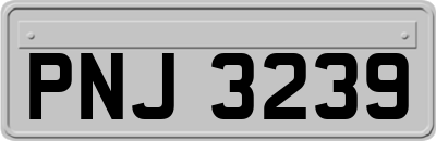 PNJ3239