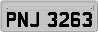 PNJ3263