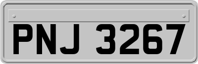 PNJ3267