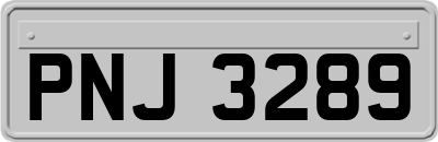 PNJ3289