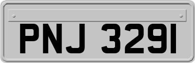 PNJ3291