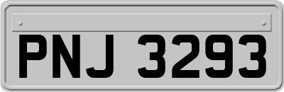 PNJ3293