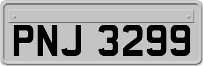 PNJ3299
