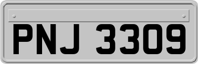 PNJ3309