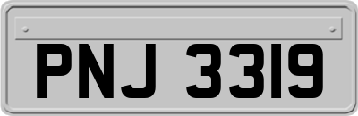 PNJ3319