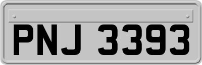 PNJ3393