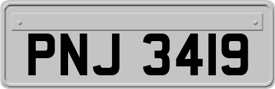 PNJ3419