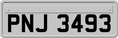 PNJ3493