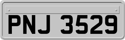 PNJ3529