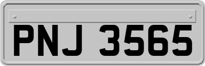 PNJ3565