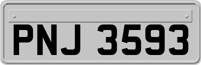 PNJ3593