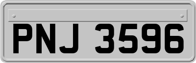 PNJ3596