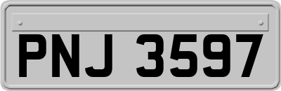 PNJ3597