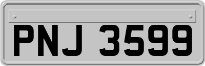 PNJ3599