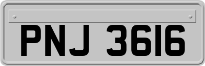 PNJ3616
