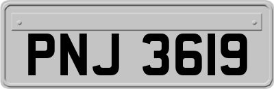 PNJ3619