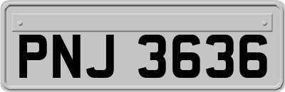 PNJ3636