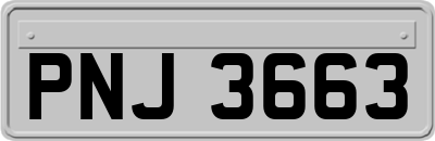 PNJ3663