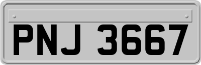 PNJ3667