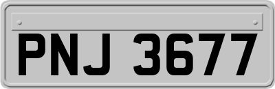 PNJ3677
