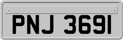 PNJ3691